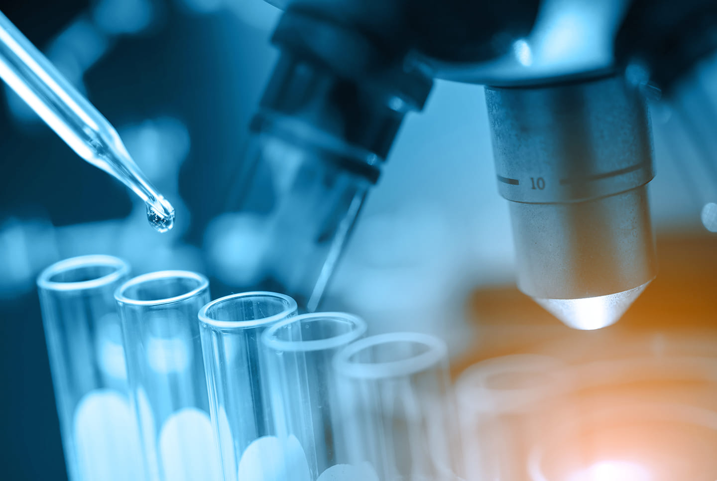 La investigación es uno de los pilares de la transformación de la empresa